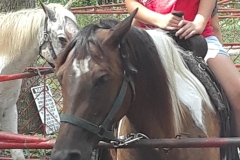 BMYD 2018 Camp (100)